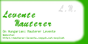 levente mauterer business card